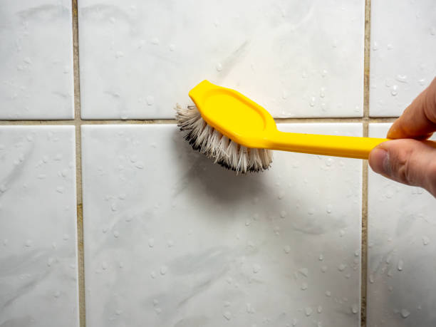 Best Black Mold Removal  in Dorneyville, PA