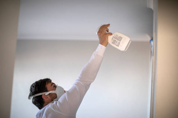 Best Water Damage Restoration  in Dorneyville, PA